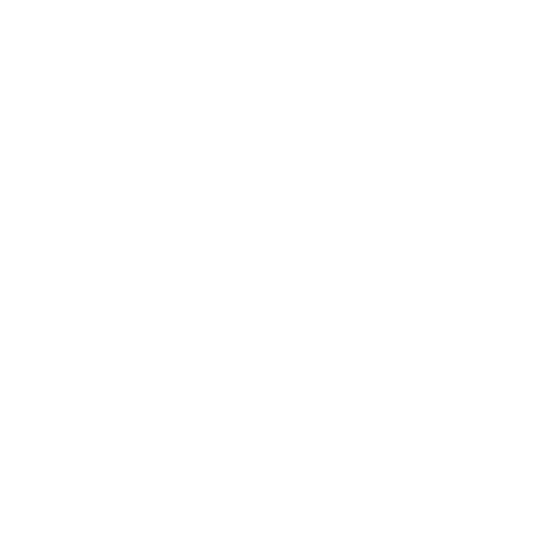 logo-in-white-1536x1536